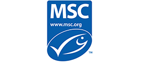 msc logo